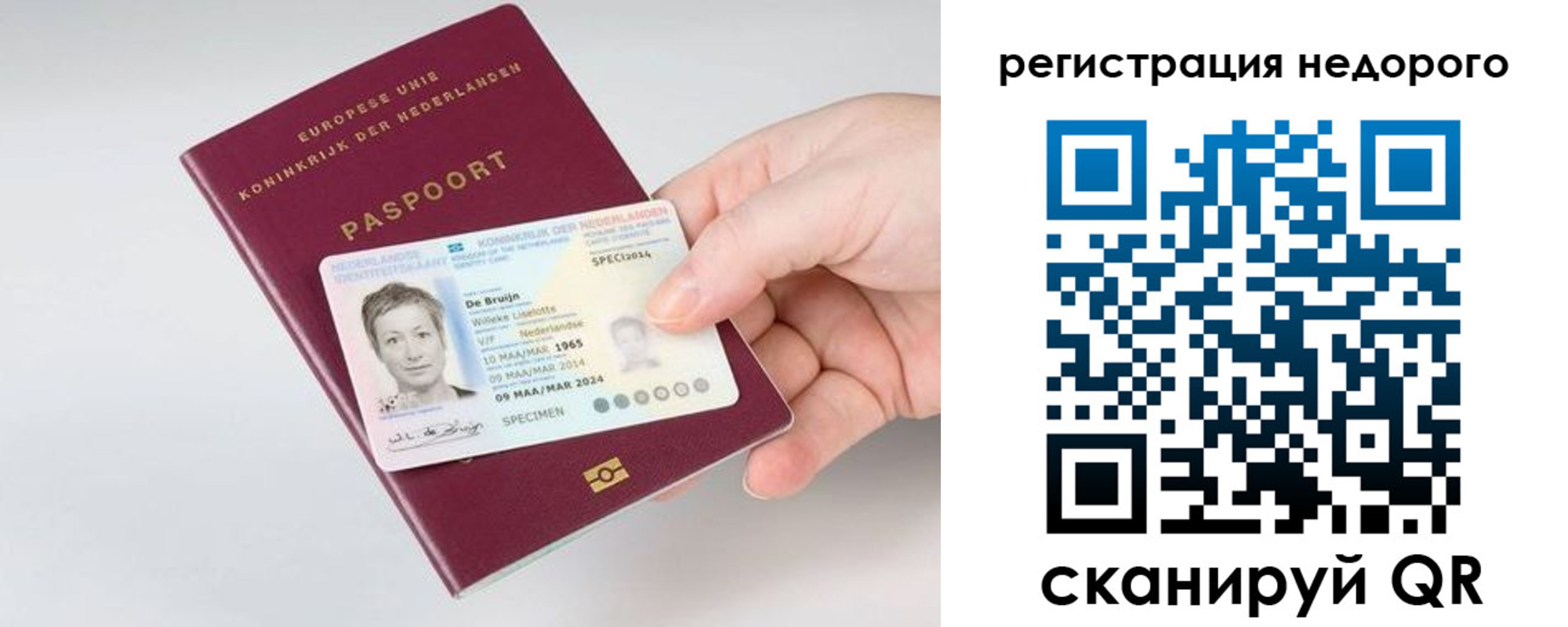 временная регистрация гарантия в Боготоле